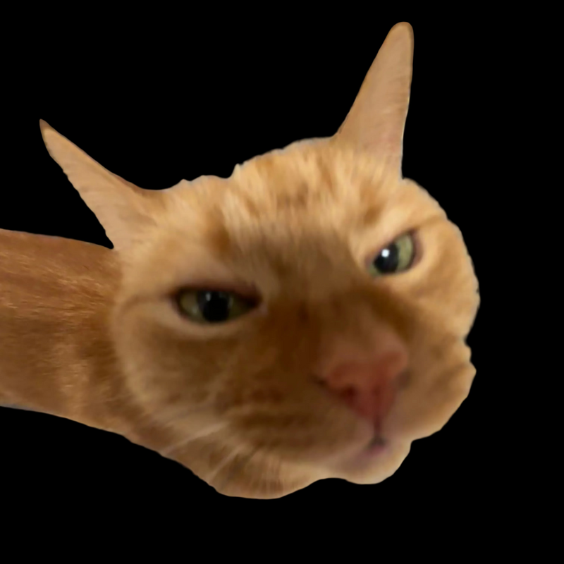 A PICTURE OF LOUIS